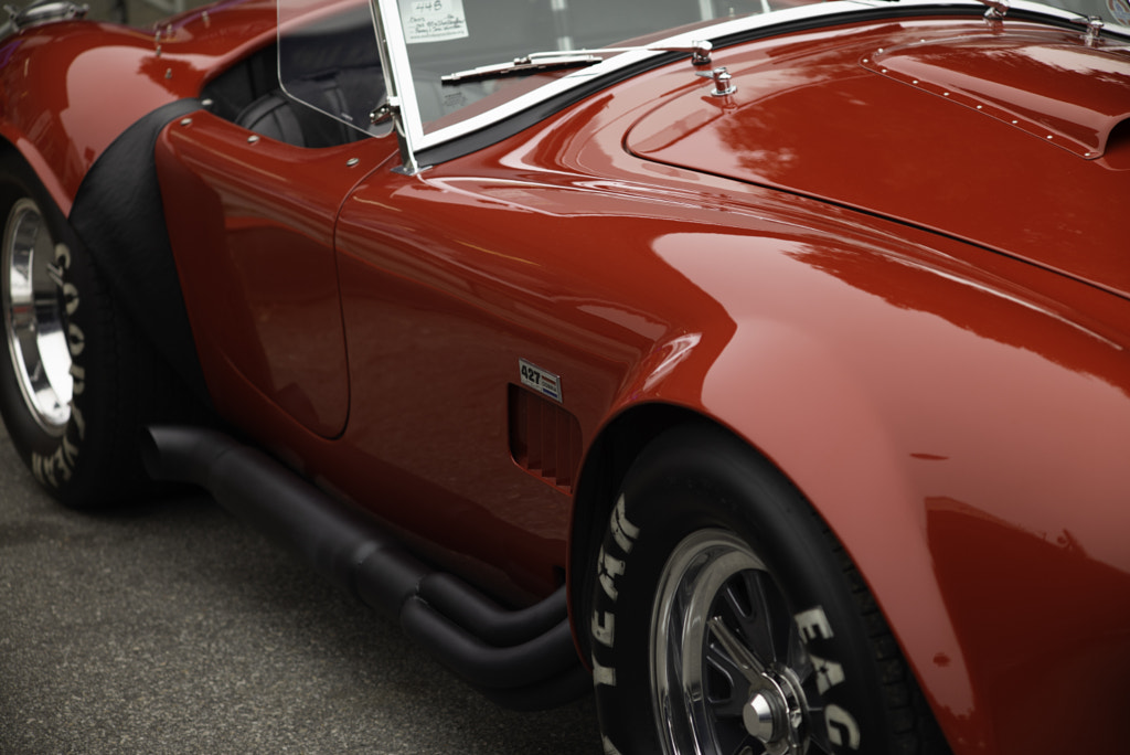 IMAGE: https://drscdn.500px.org/photo/1013067146/m%3D900/v2?sig=4e18b6a93455ec3a3cca37da3ed7218037277942ebd3e0b2990e622e86d40f7d