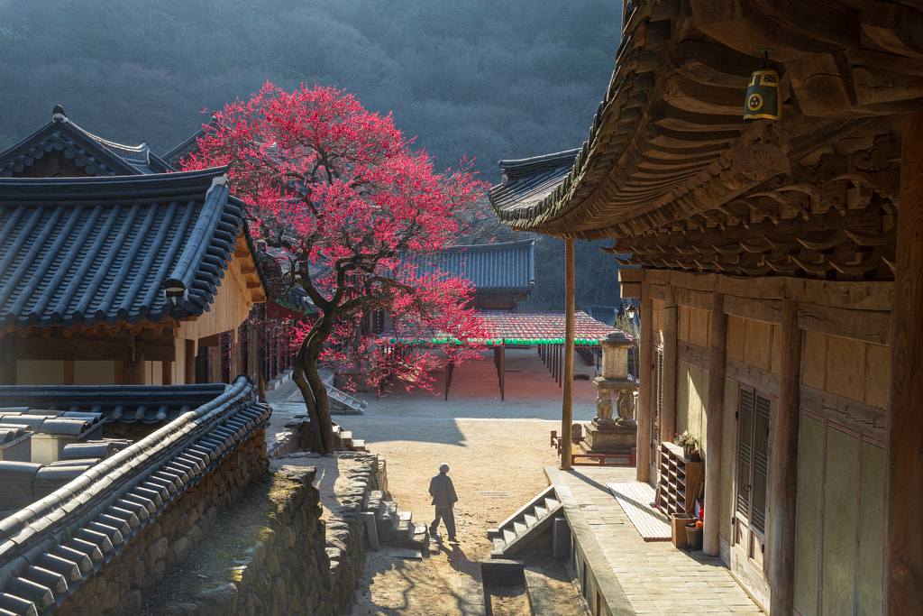 Red temptation of hwaeomsa by jae youn Ryu on 500px.com