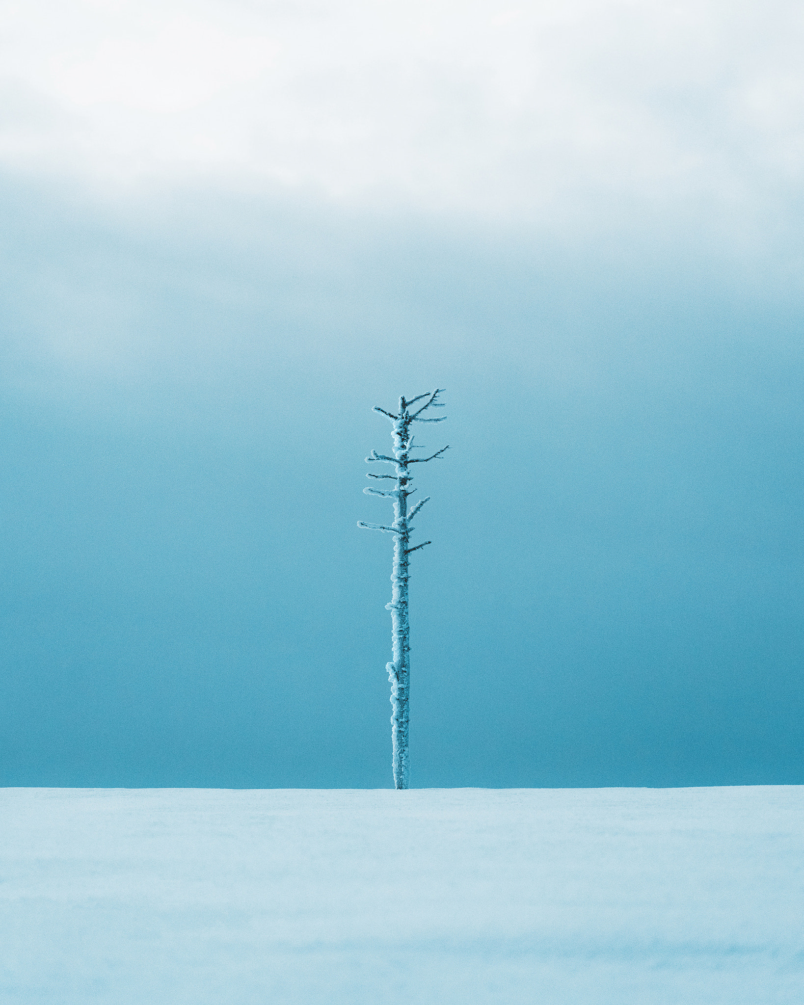 Isolated, but not alone \uD83D\uDC99