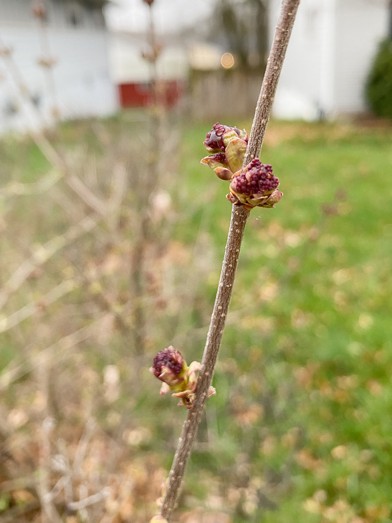 Untitled by Jacqueline and Kevin Reape on 500px.com