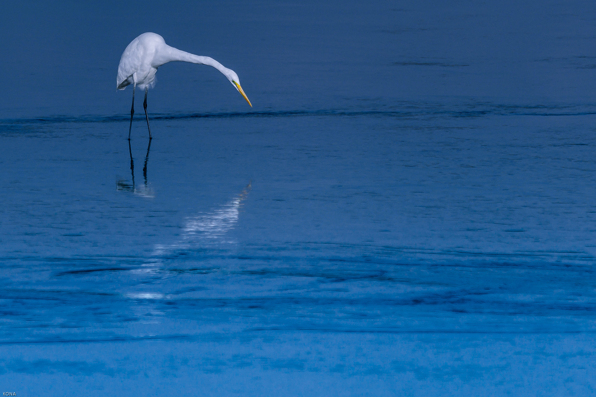 Nikon AF-S Nikkor 400mm F2.8G ED VR II sample photo. Sagi photography