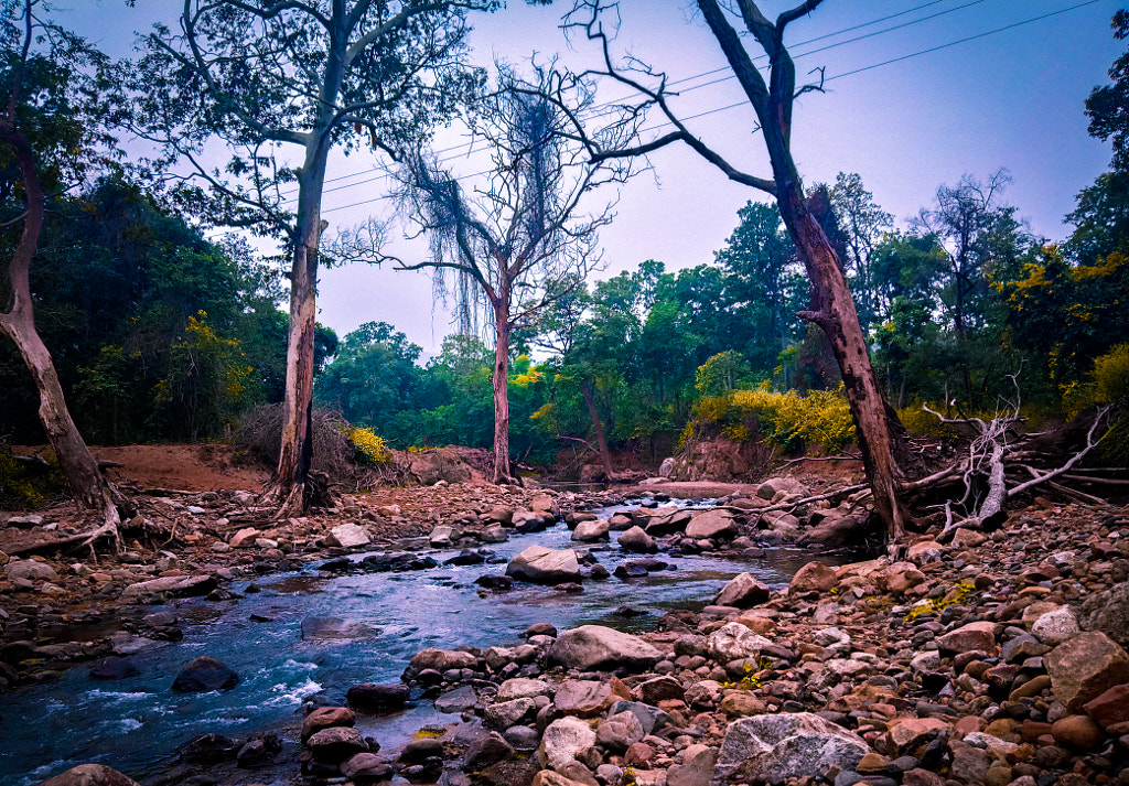 Small river by Jayashankar Majhi on 500px.com