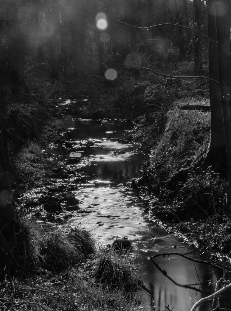 creek I by dirk derbaum on 500px.com