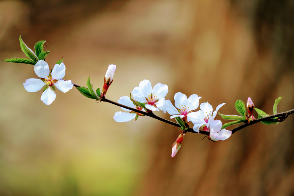 Harmonious by wonbog lee on 500px.com