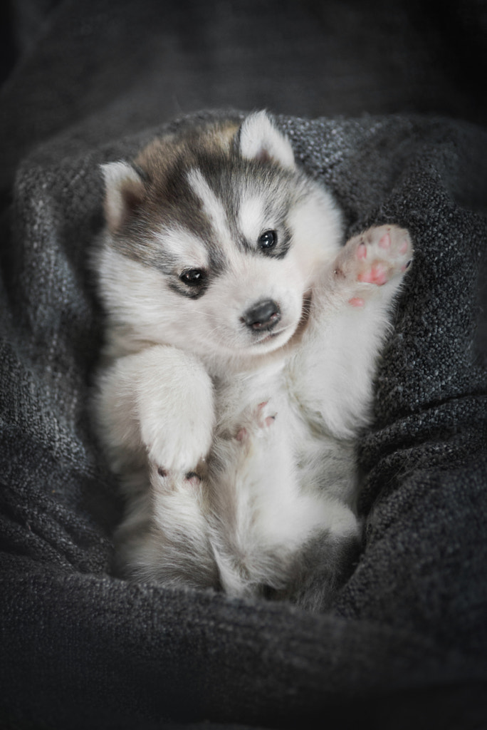 Hi! by Iza ?yso? on 500px.com