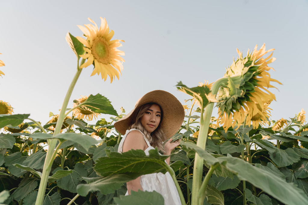 playing with sunflowers by Felipe Alves on 500px.com