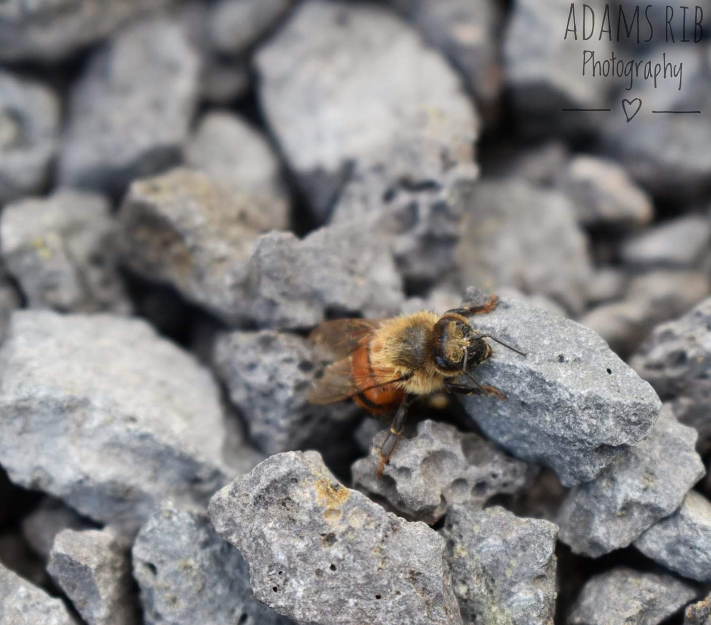 v2?sig=ae0b169e55ac65256ab2f30837e0b5c2a