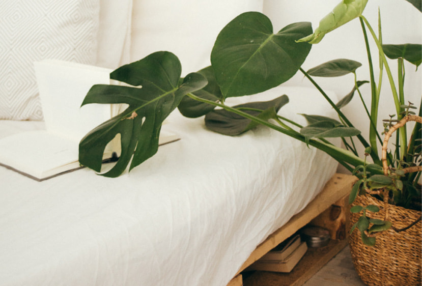 Queen Size Bed Singapore