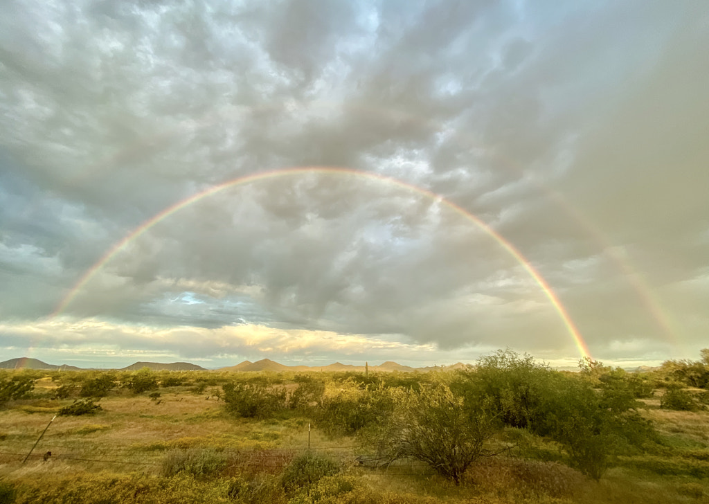 Beauty in the Middle of the Storm by Jessica Katt on 500px.com