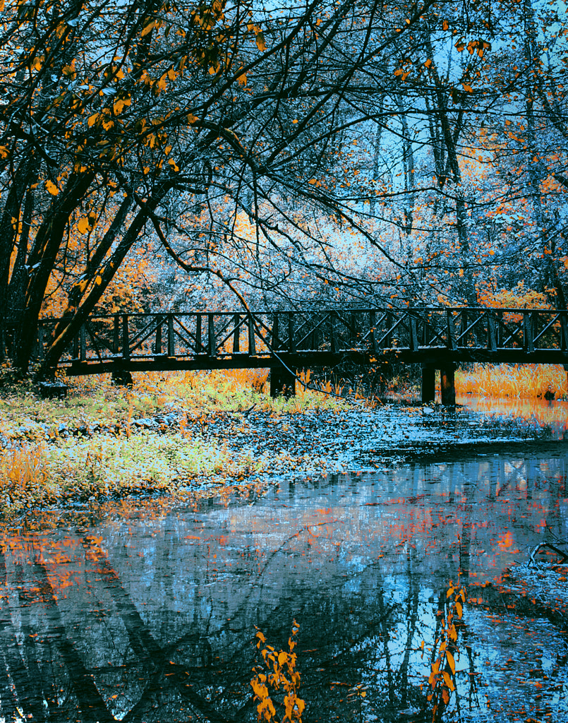 Bridge by Mevludin Sejmenovic on 500px.com