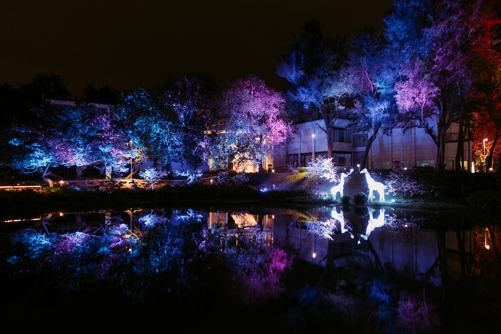 Hsinchu Park Night by Fang Ameyo on 500px.com