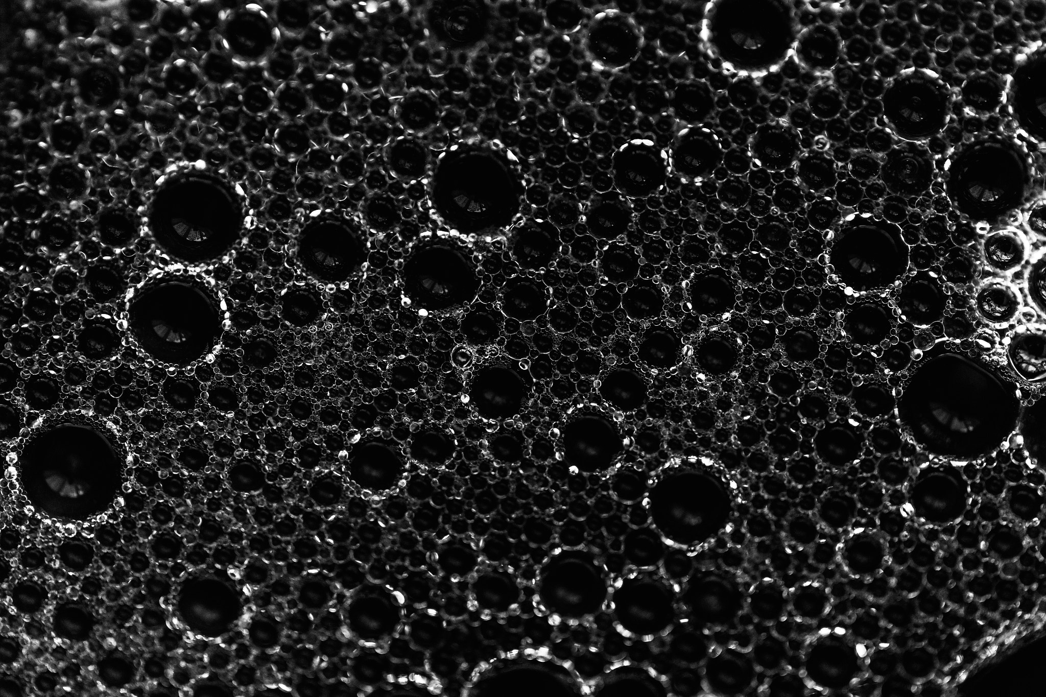 Foam on black background. Soft focus. Black and white photo