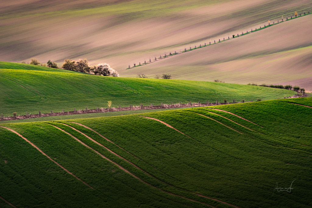 Agricultural Aesthetics by Martin Mydlar on 500px.com