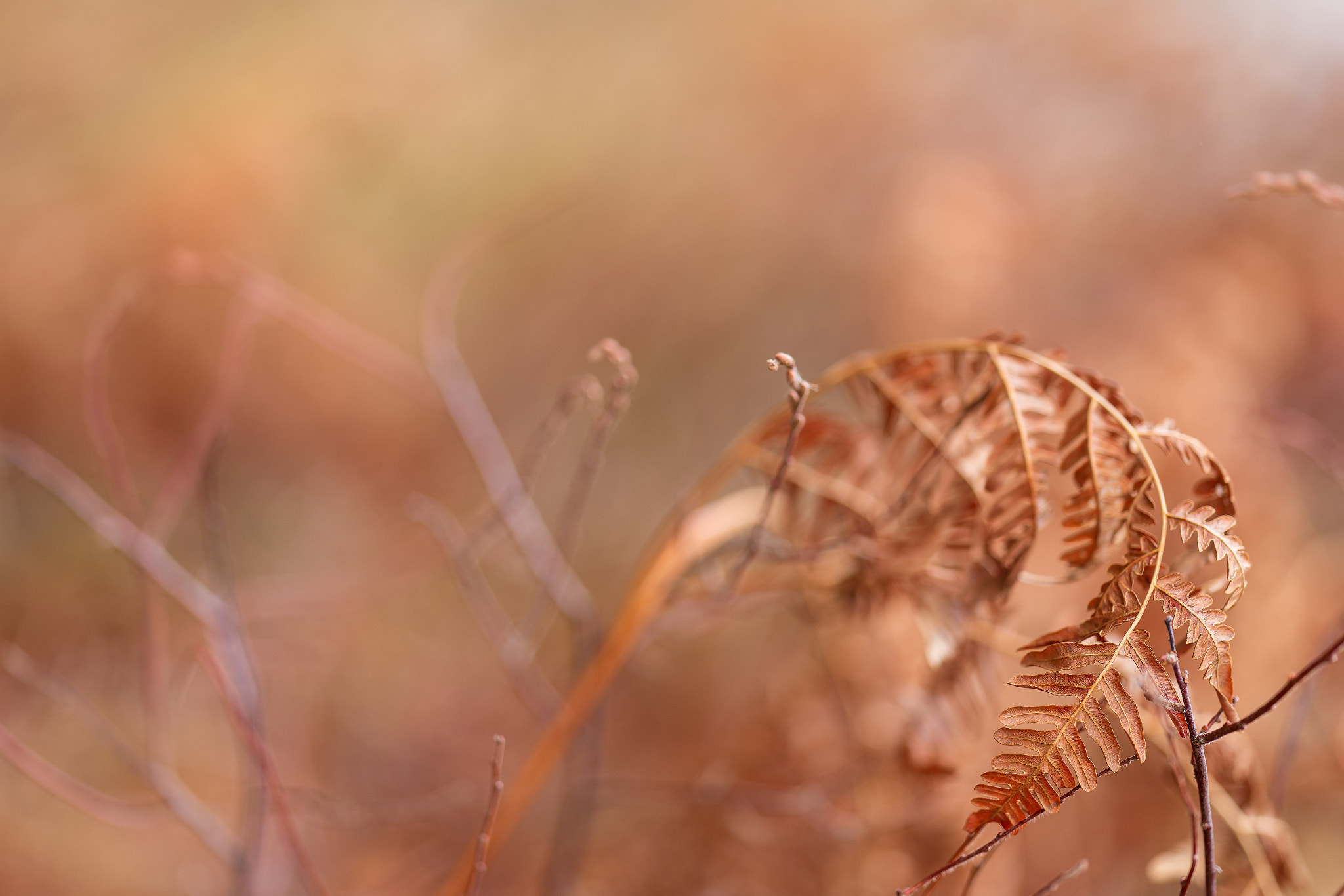 v2?sig=e82eb994d71143027c38b22a623c76618211dd46660fa8a2f2672b306ee13c20