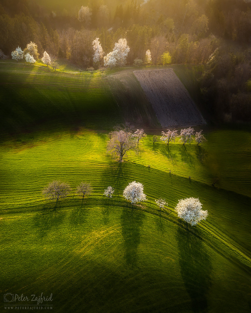 Shining light by Peter Zajfrid on 500px.com