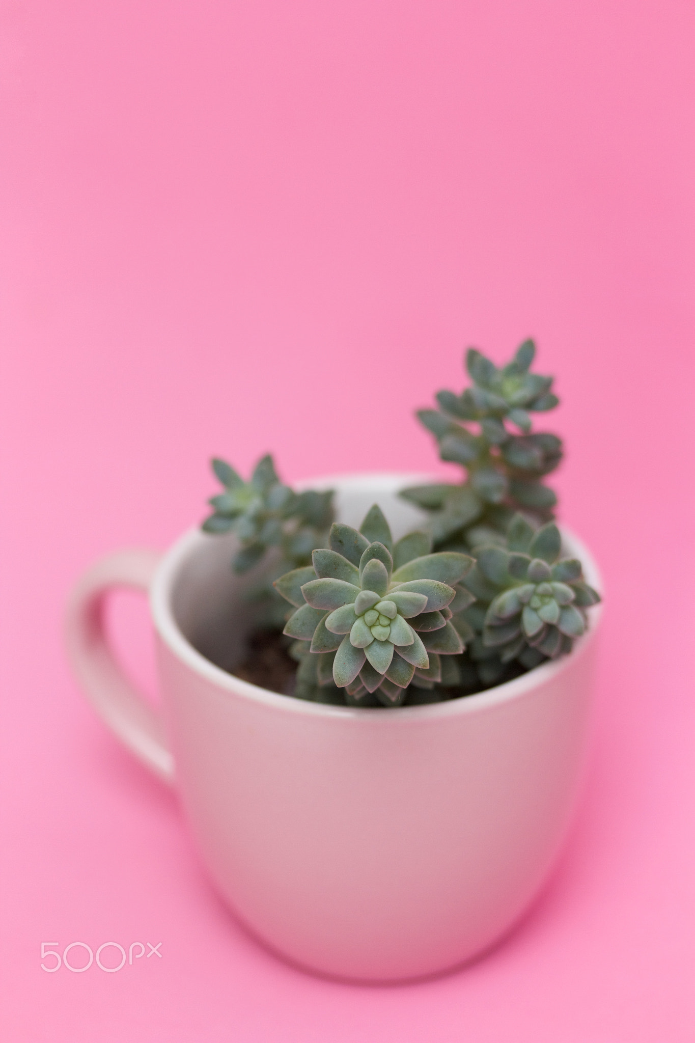 Little life