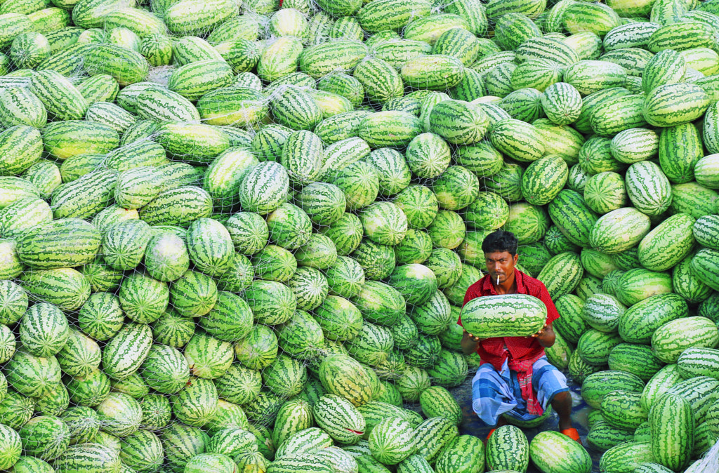 watermelons! by Sabina Akter on 500px.com