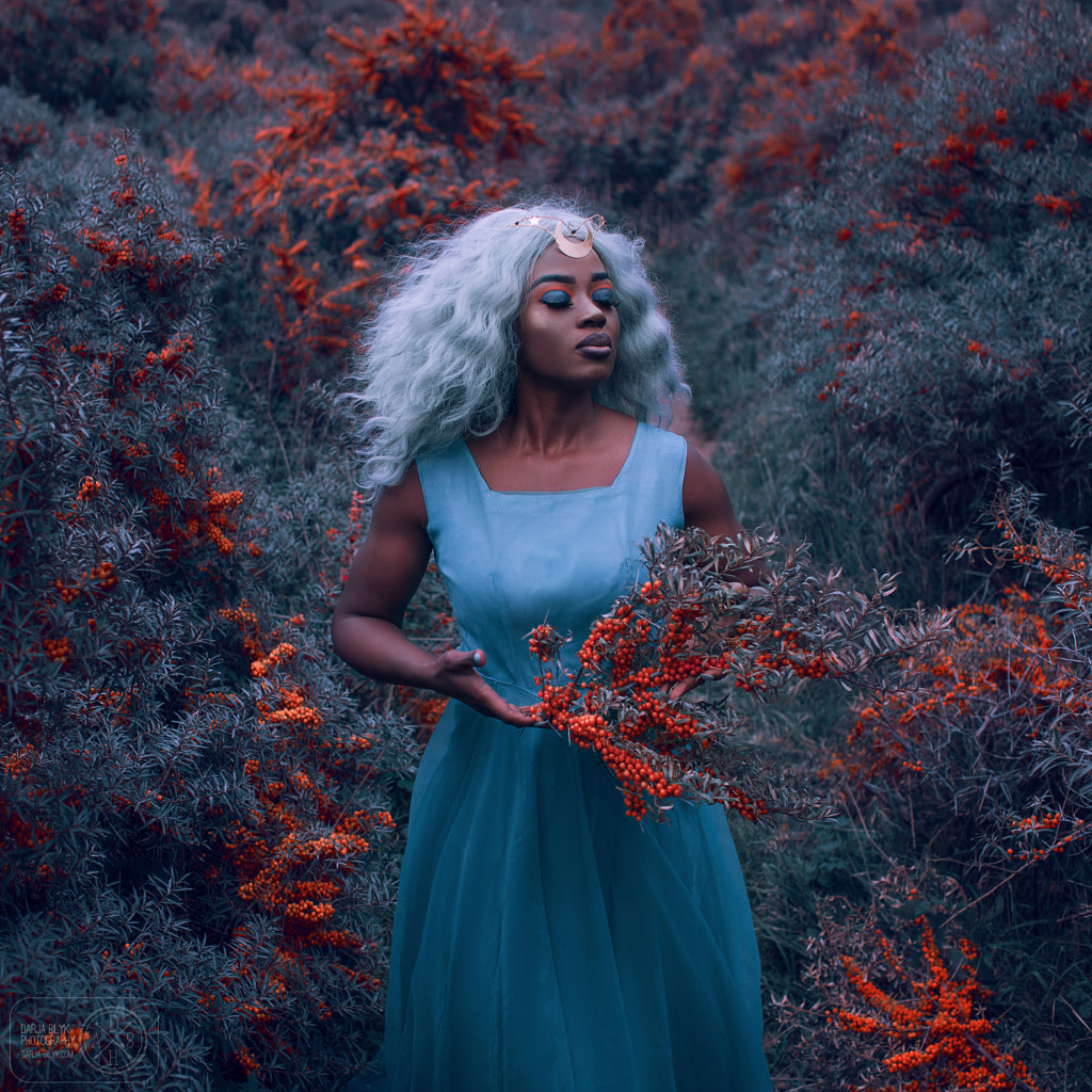 Sea Buckwheat by Darja Bilyk on 500px.com