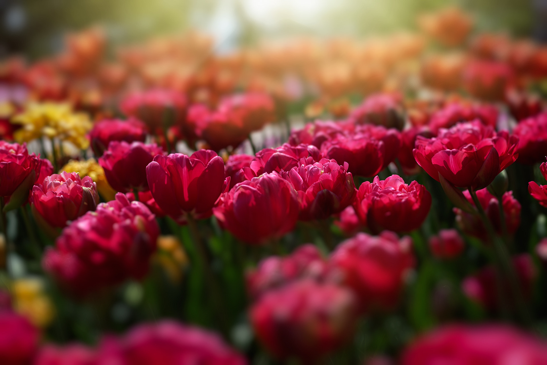 v2?sig=f3495fa3c77f94362239b8c355469efbde208cb29191714c3cc88ecaa085402d