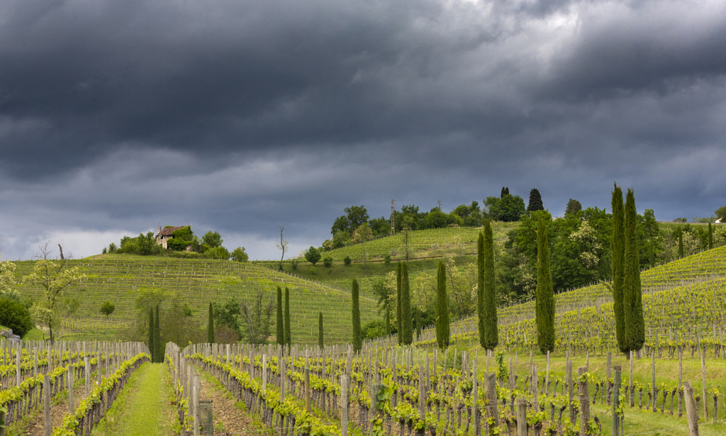 Storm Day in Italy by Jure Batagelj on 500px.com