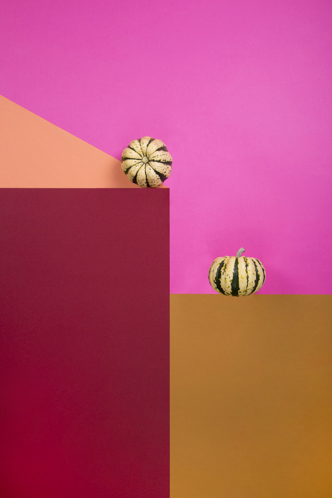 Ripe decorative pumpkins on a colored background by Valentin Ivantsov on 500px.com