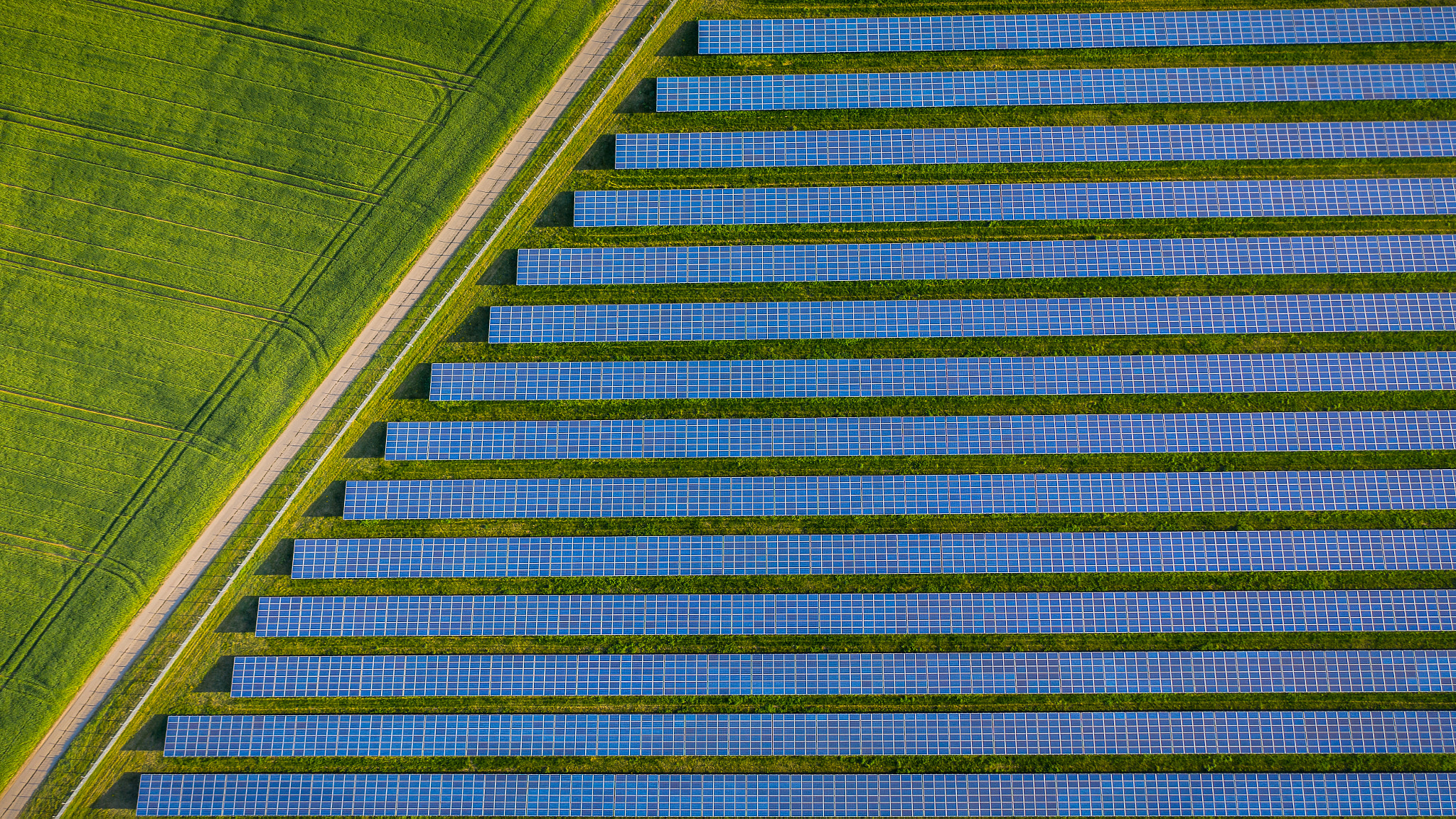 Aerial shot above the solar panels