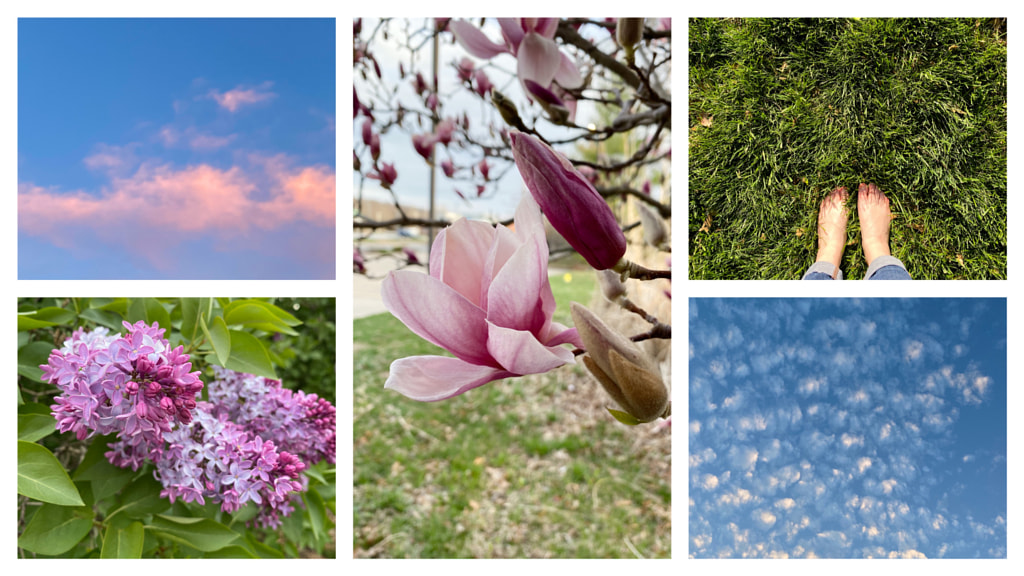 Untitled by Jacqueline and Kevin Reape on 500px.com