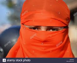 Access To Get Free Instagram Followers Online Today