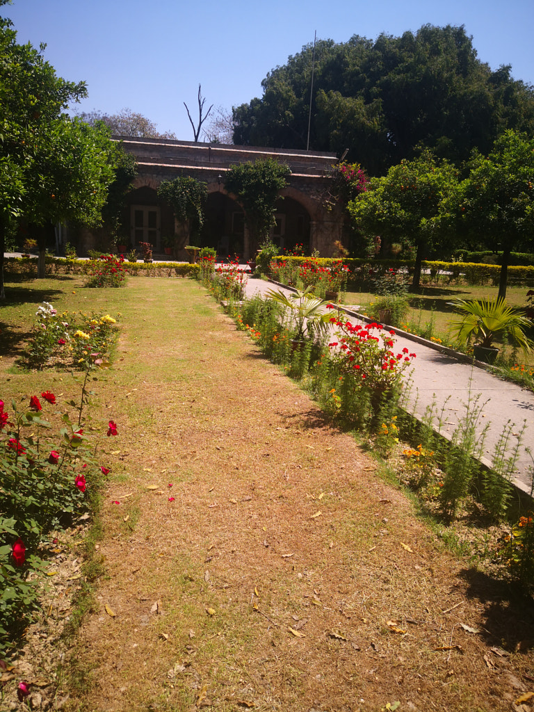 Taxila Museum.  by Nasir Khan Alladand Alladand on 500px.com