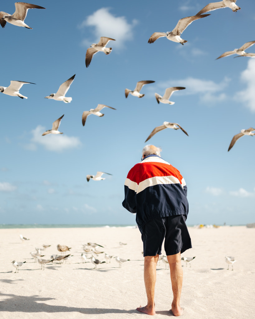 Feeding the birds by Dom Piat on 500px.com