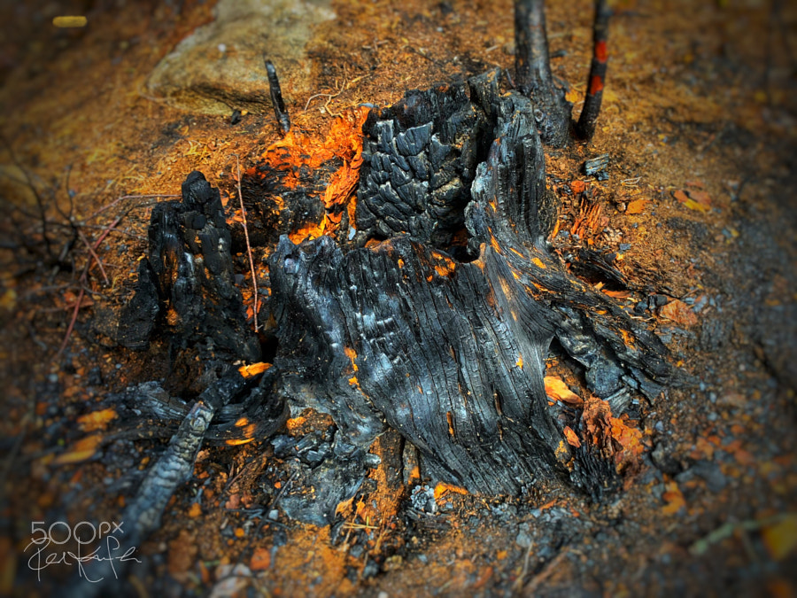 Burnt down..
