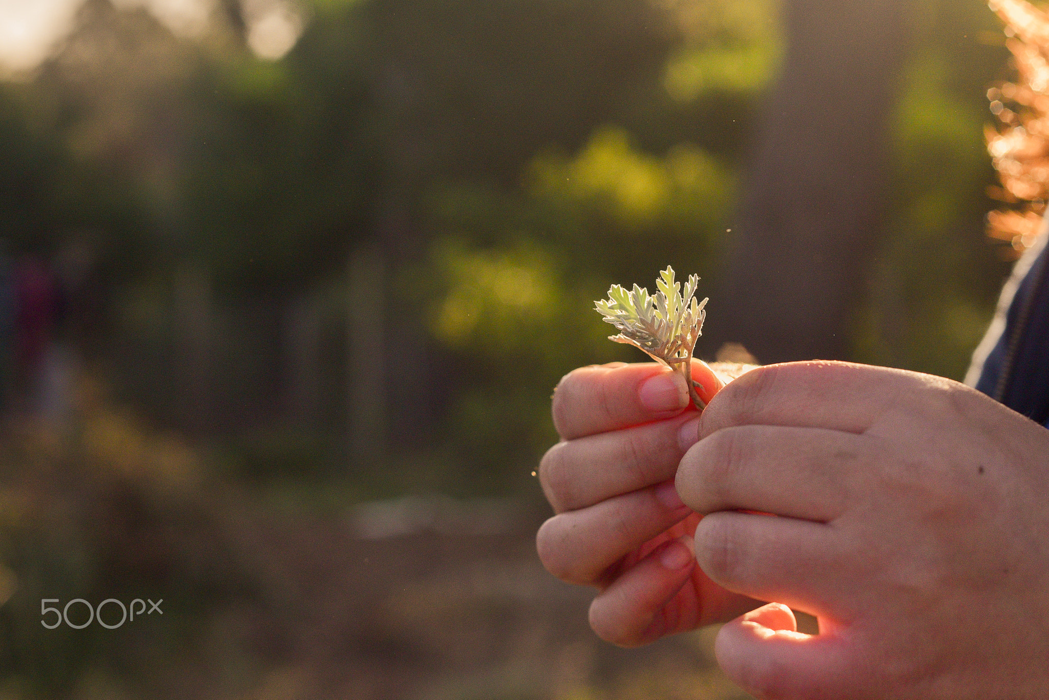 HOPE