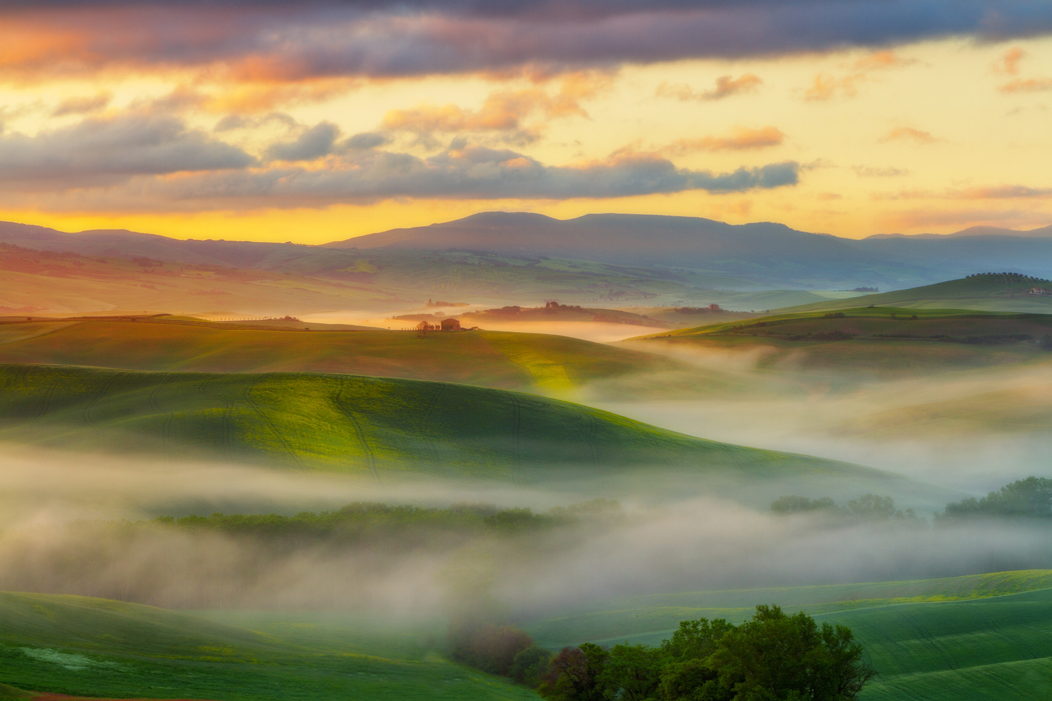 Good morning Tuscany