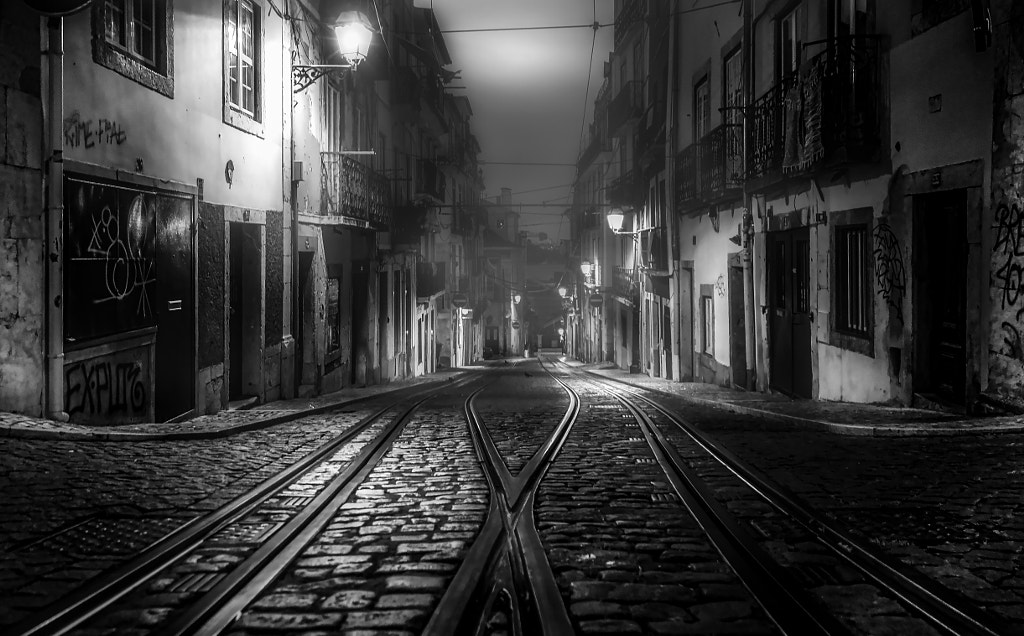 Lisbon by Night by Paulo Miguel Costa on 500px.com