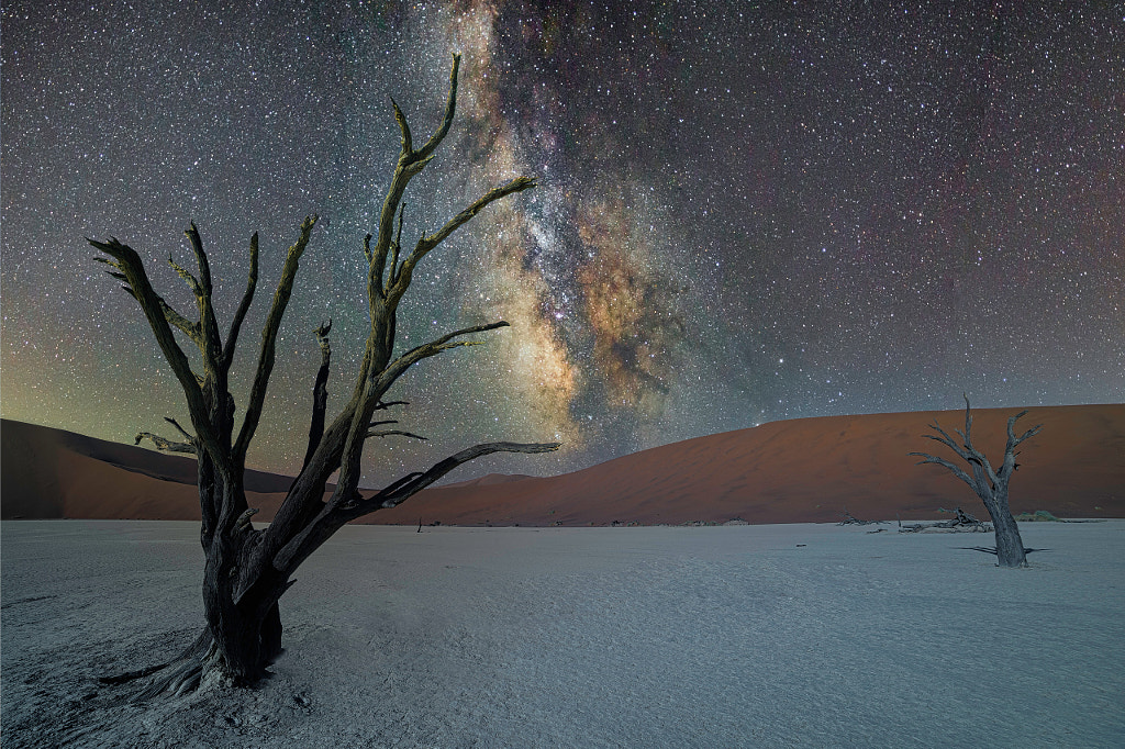 Deadvlei by night by Alessio Marradi on 500px.com