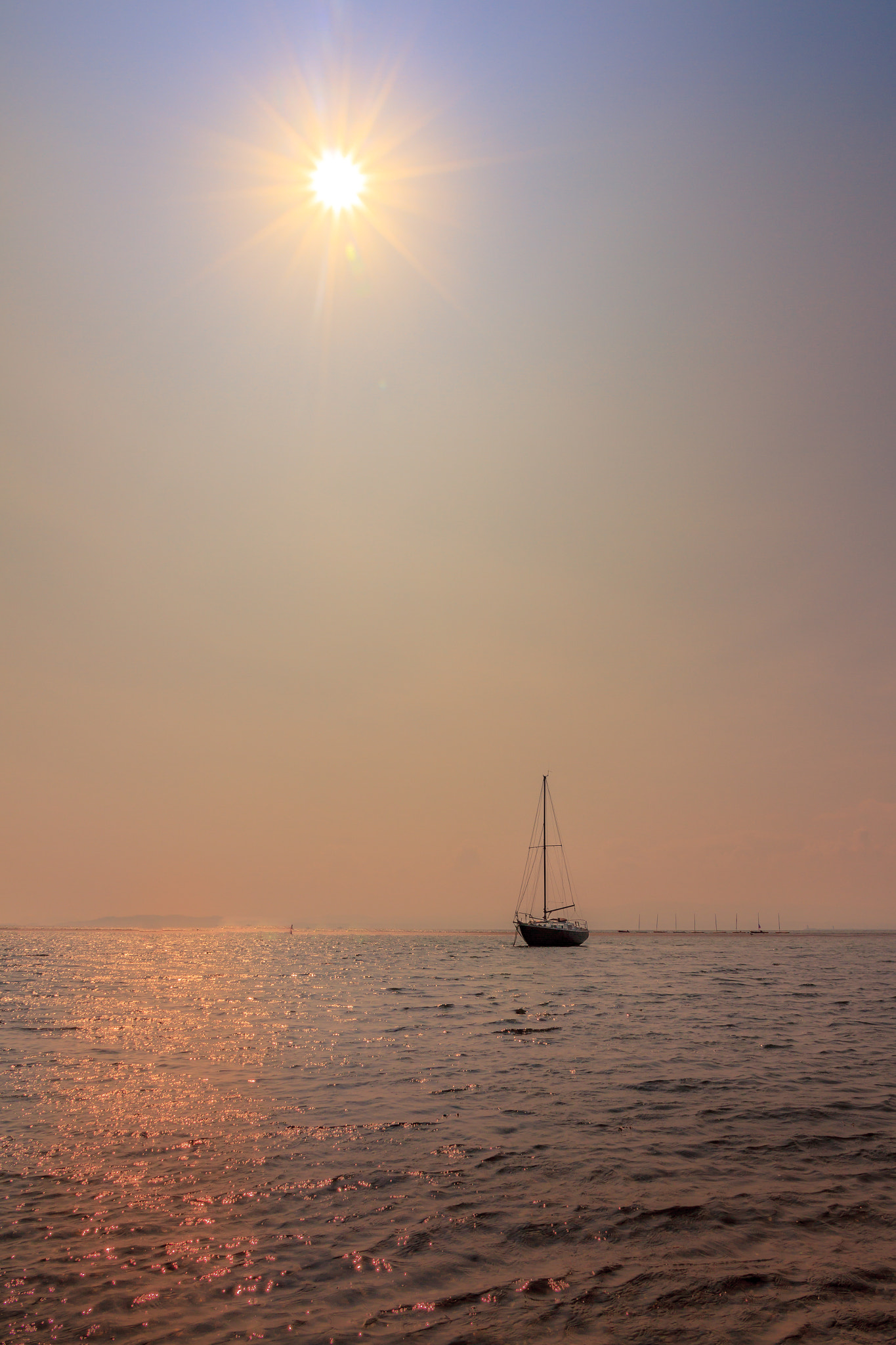 Evening Sun