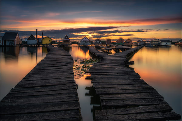 Bokodi by Georg Scharf