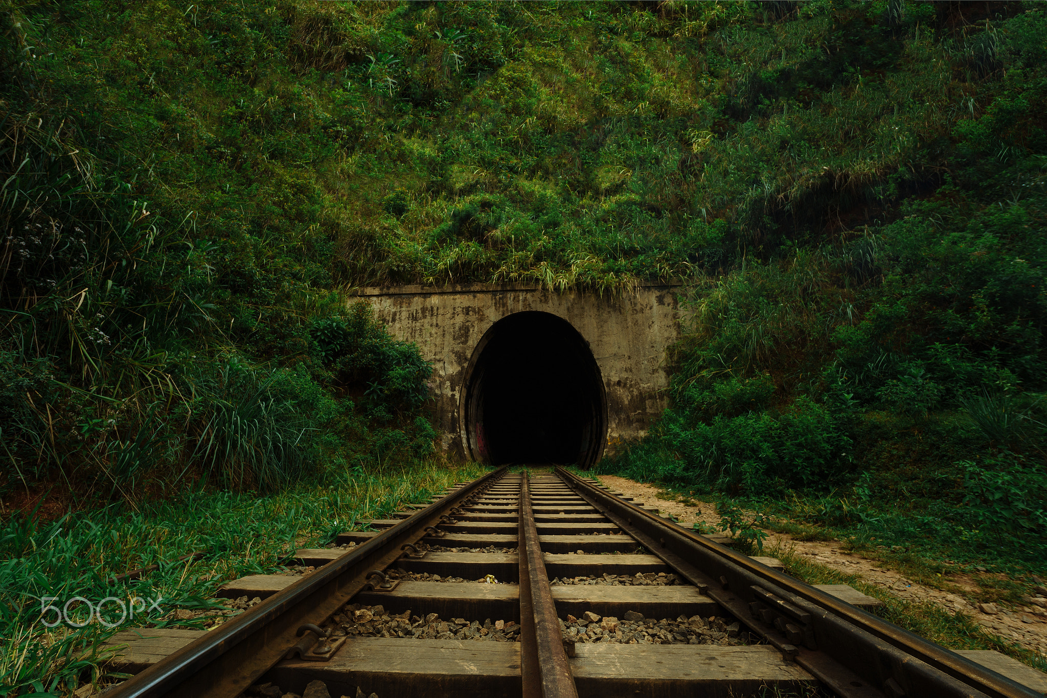 Railway leads into a dark tunnel amid greenery