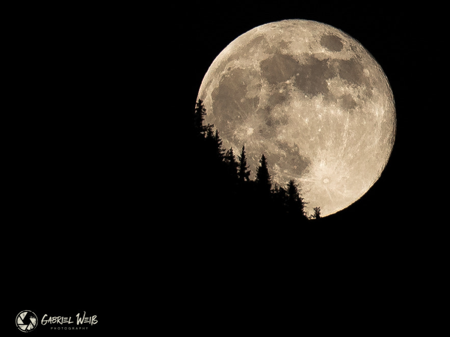 in the light of the moon by Gabriel  Weiss  on 500px.com