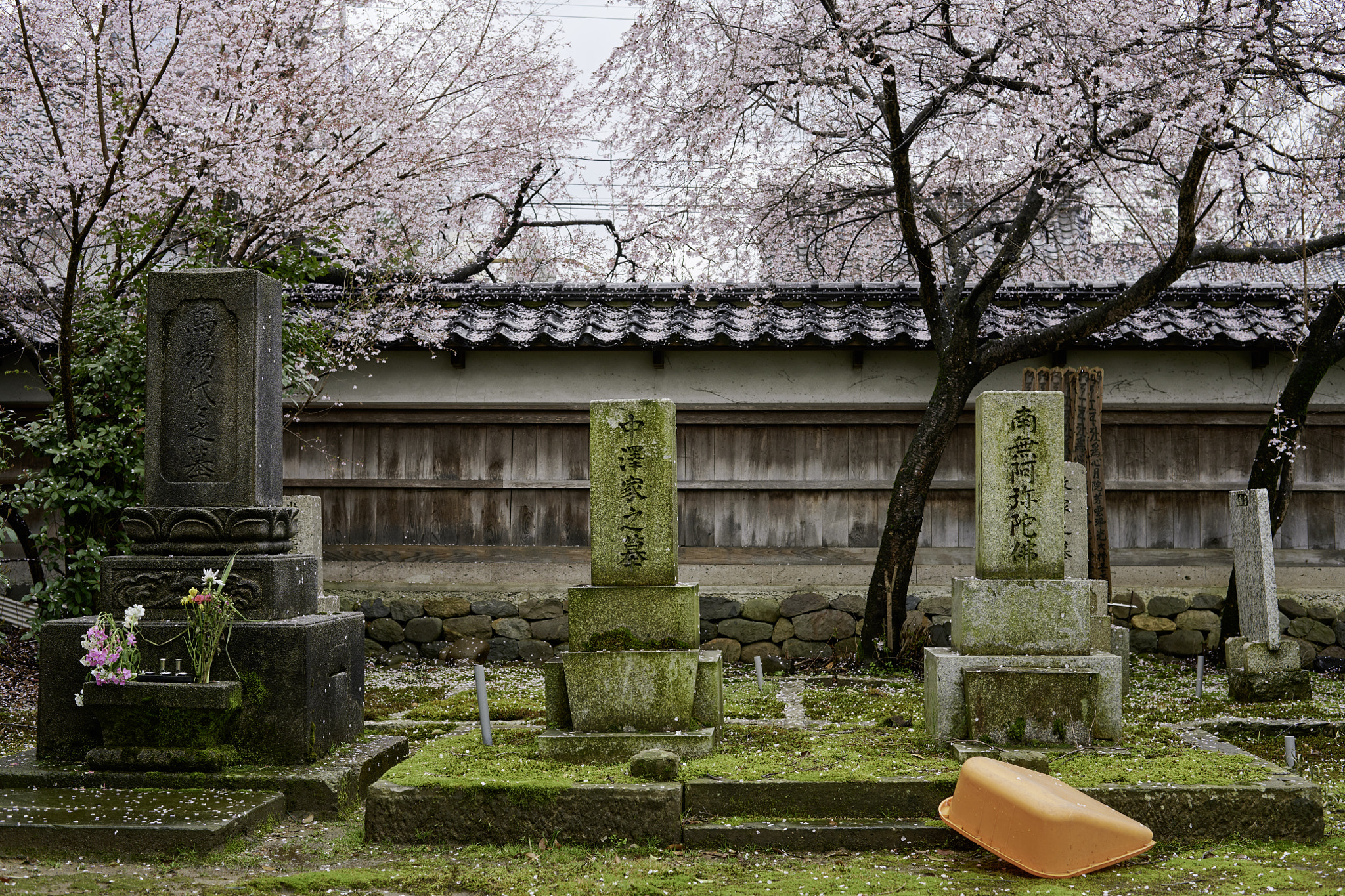 𝙺𝚛𝚒𝚜𝚝𝙾𝙿𝚑𝚘𝚛𝚘𝚂 クリストフォロス Kristophoros Profile 500px