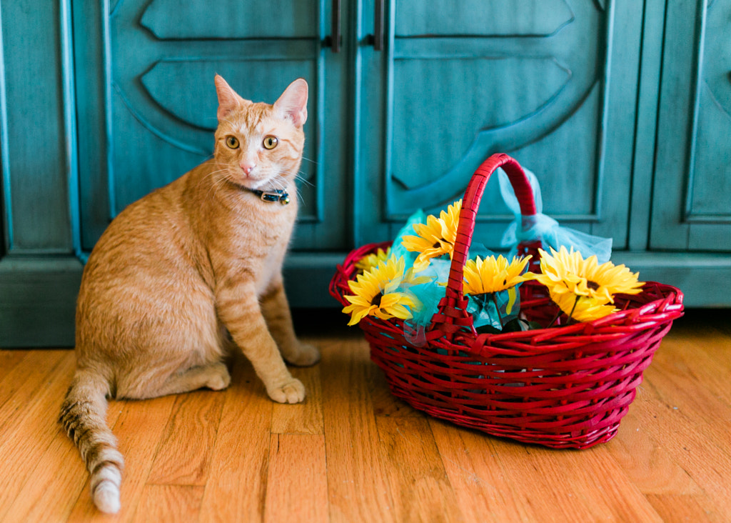 Smell the flowers by Tatiana Avdjiev on 500px.com