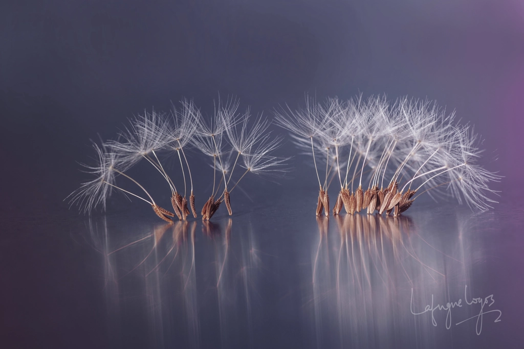 Unstable Corps ballet by Lafugue Logos on 500px
