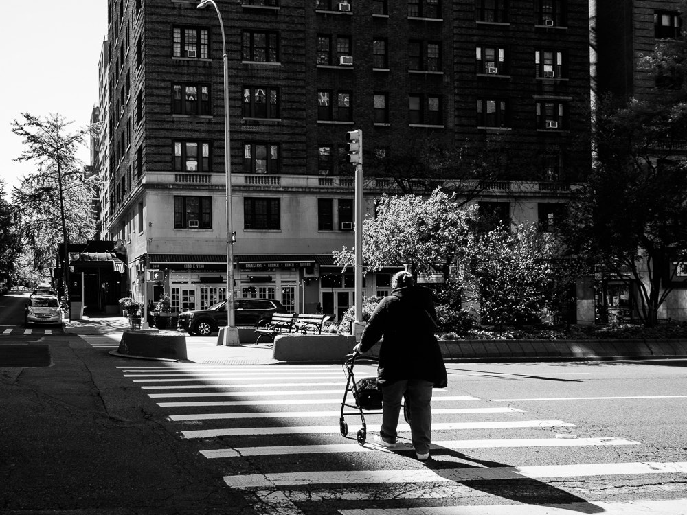 Out and About by Nancy Lundebjerg on 500px.com