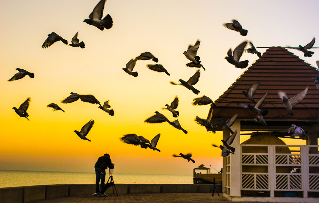 Freedom by Kiran Mithra on 500px.com