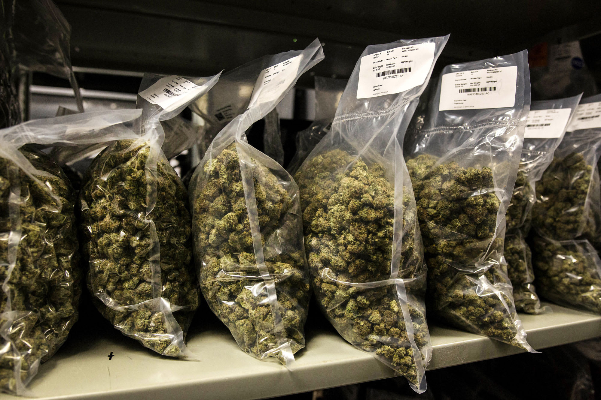 Buy Hybrid Weed Online