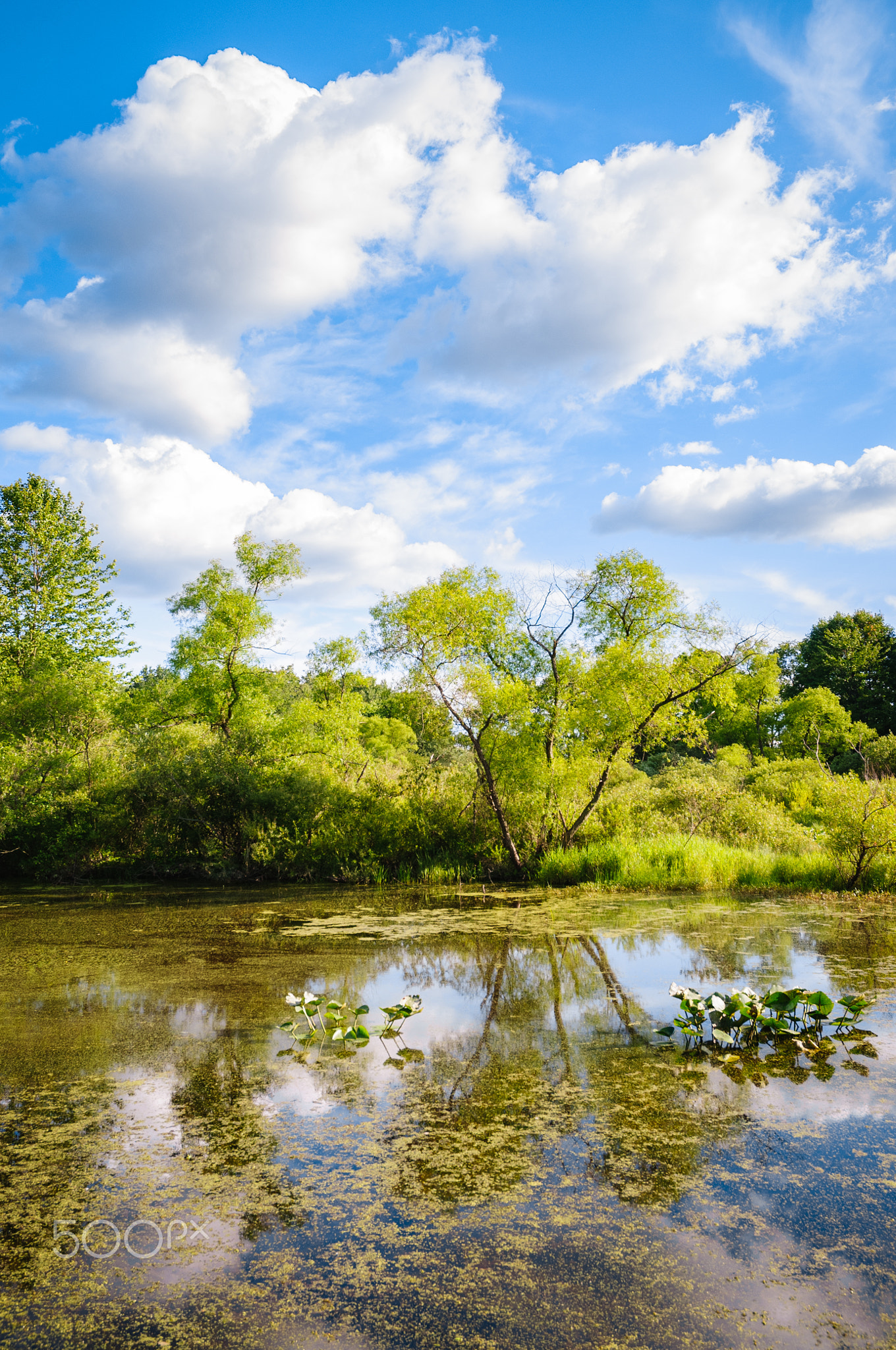 Jamestown Audubon Center and Sanctuary