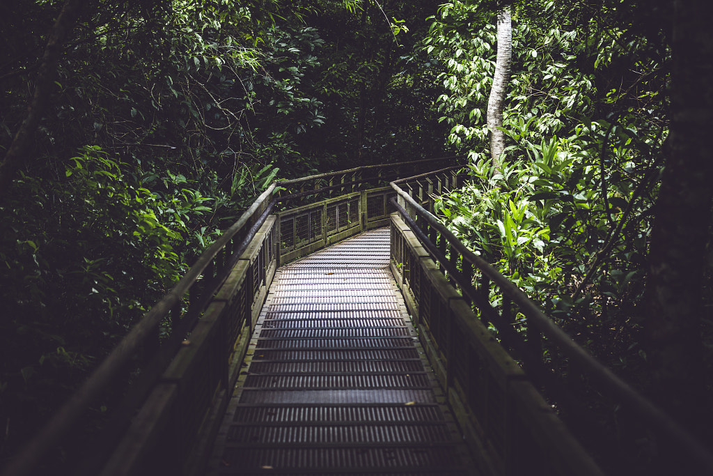 The way to Wonder. by Pablo Reinsch on 500px.com