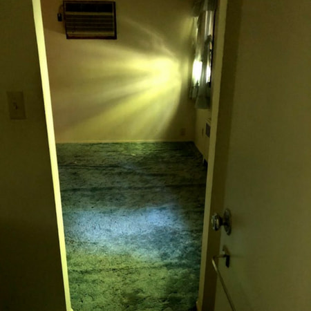 Water Damage Restoration Near Me Queens