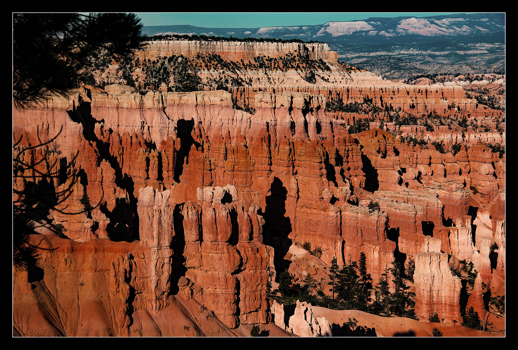 Bryce Canyon XI by Justin B. on 500px.com