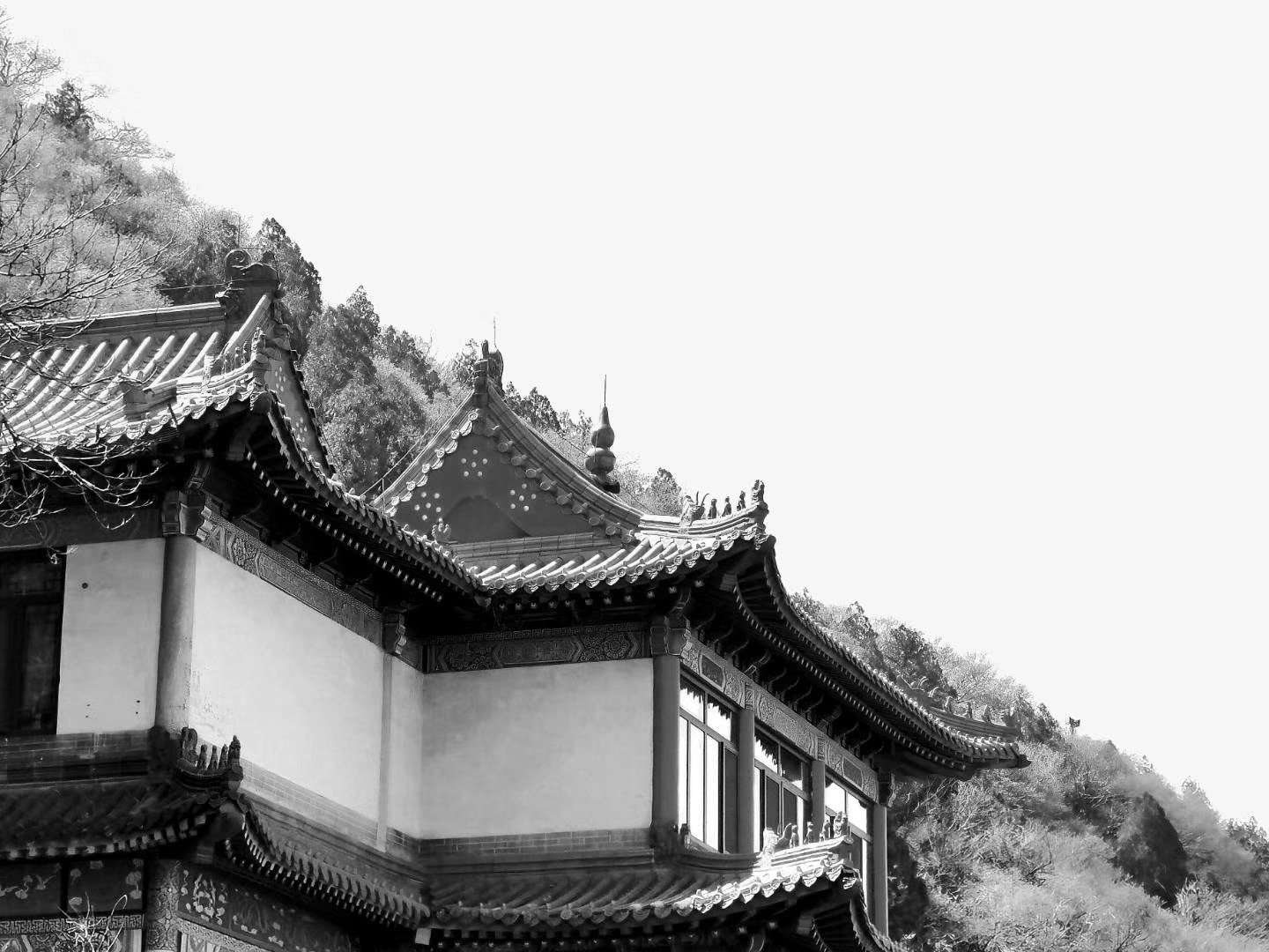 千佛山上花绽放  解放阁下水荡漾